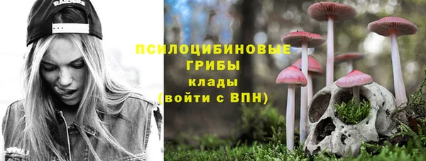 ПСИЛОЦИБИНОВЫЕ ГРИБЫ Армянск