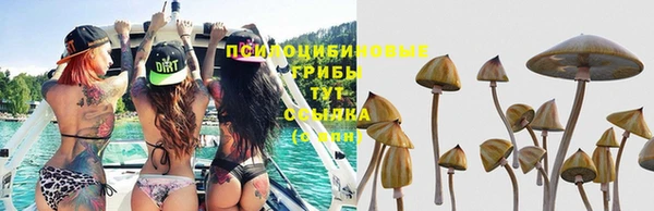 гашик Балахна