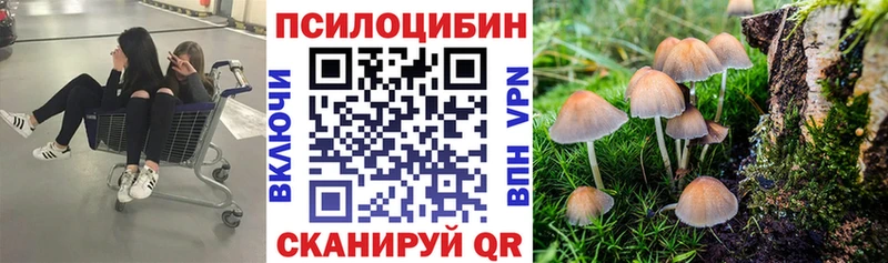 Псилоцибиновые грибы GOLDEN TEACHER  Оханск 